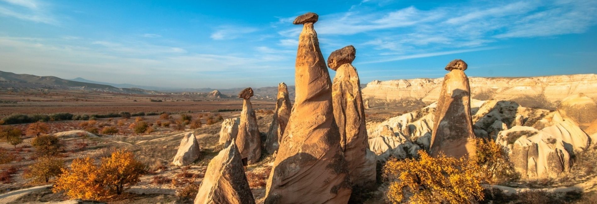 Day Tours - Land Excursions